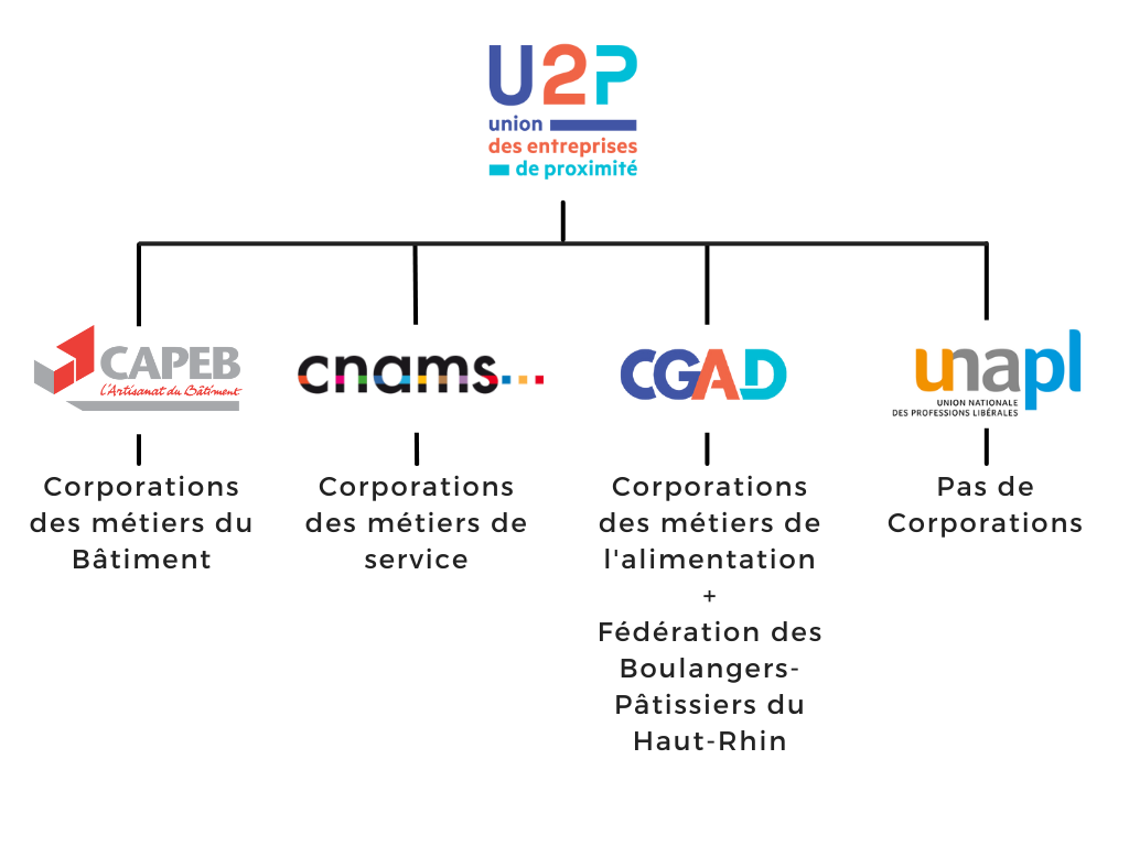 Organigramme défense et représentation